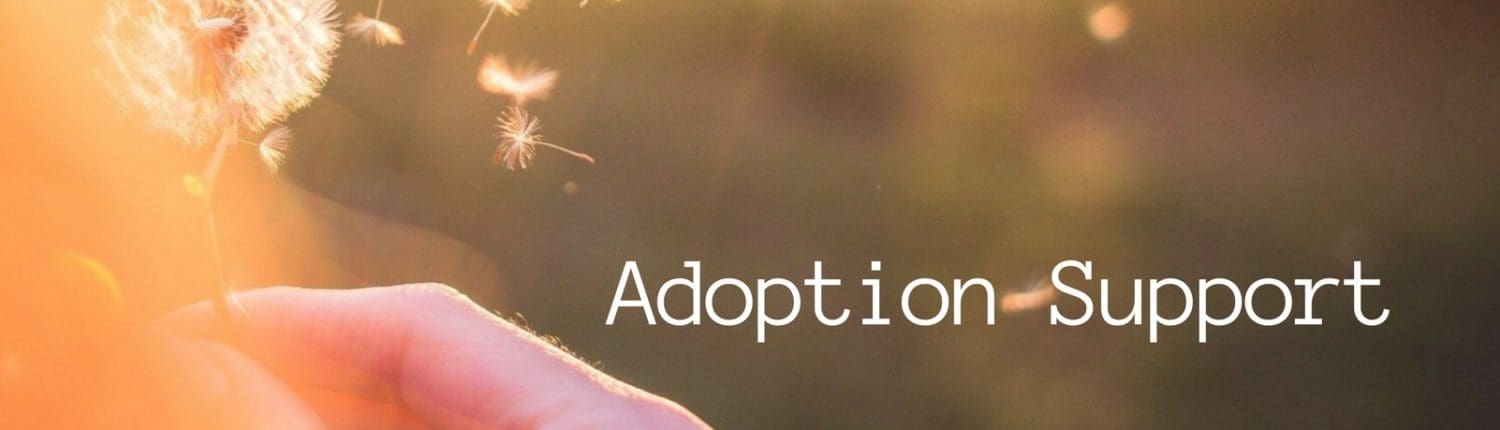 Adoption Support Adoption Support